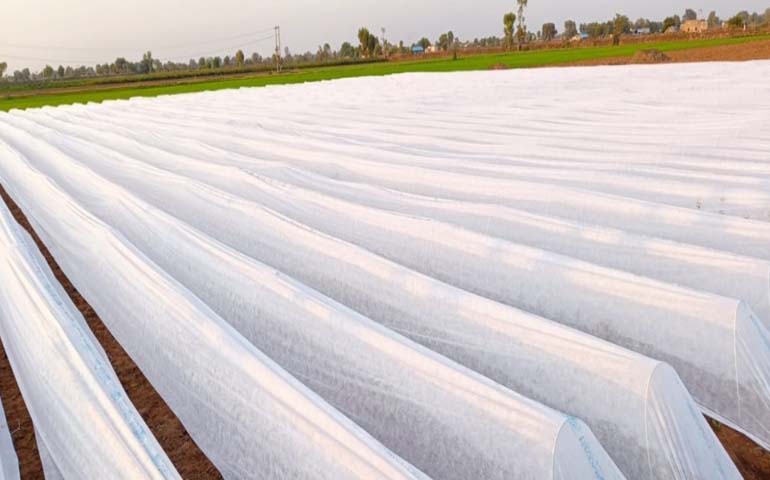 Non Woven Crop Cover